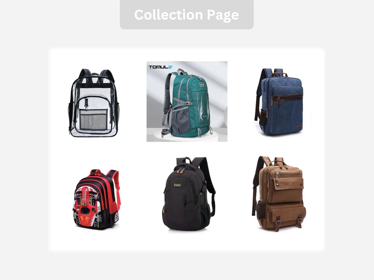 Bag Shop Shopify Starter Dropship Store & Ecommerce Website The Stores Project
