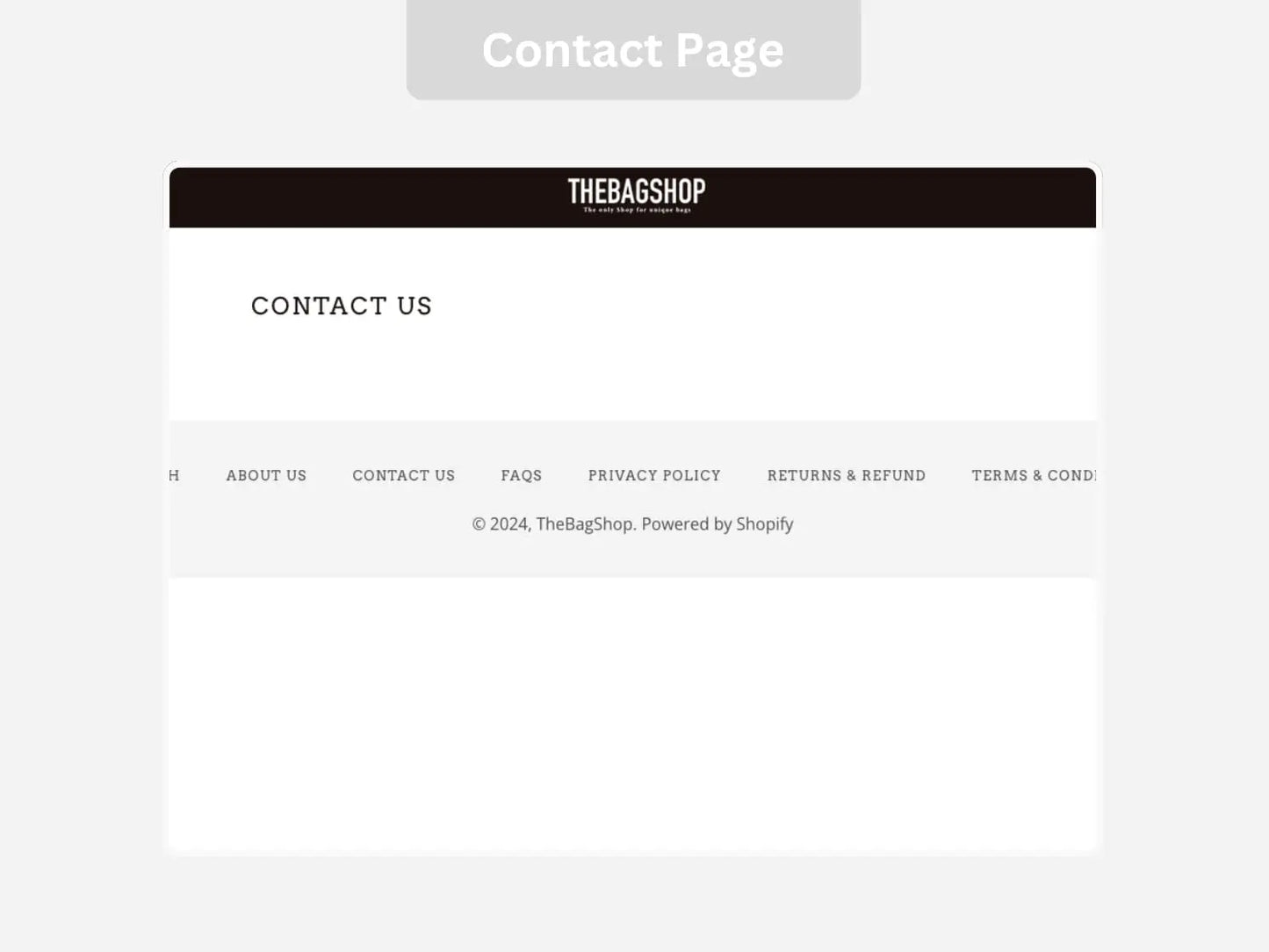 Bag Shop Shopify Starter Dropship Store & Ecommerce Website The Stores Project