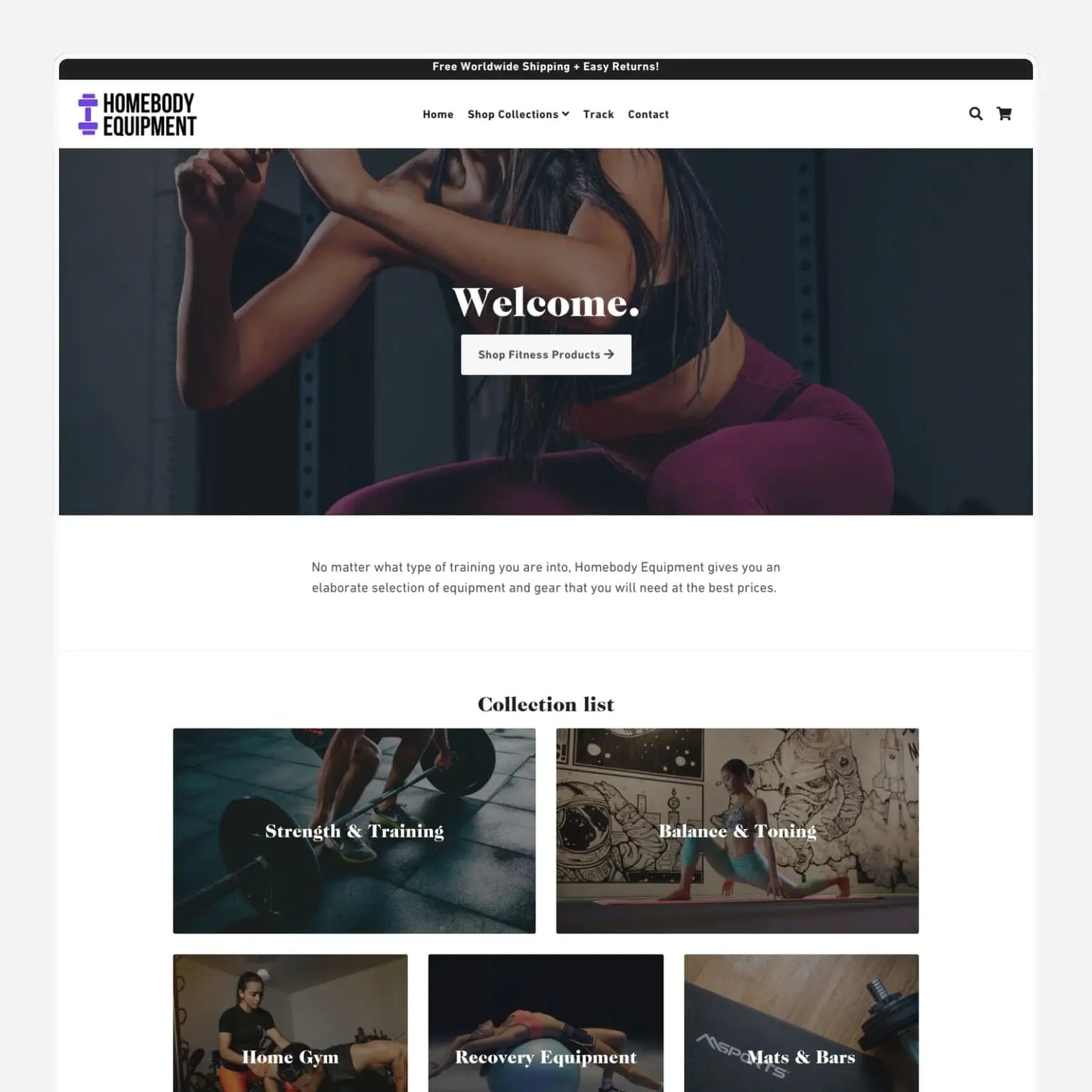 Fitness Shopify Exclusive Dropship Store & Ecommerce Website The Stores Project