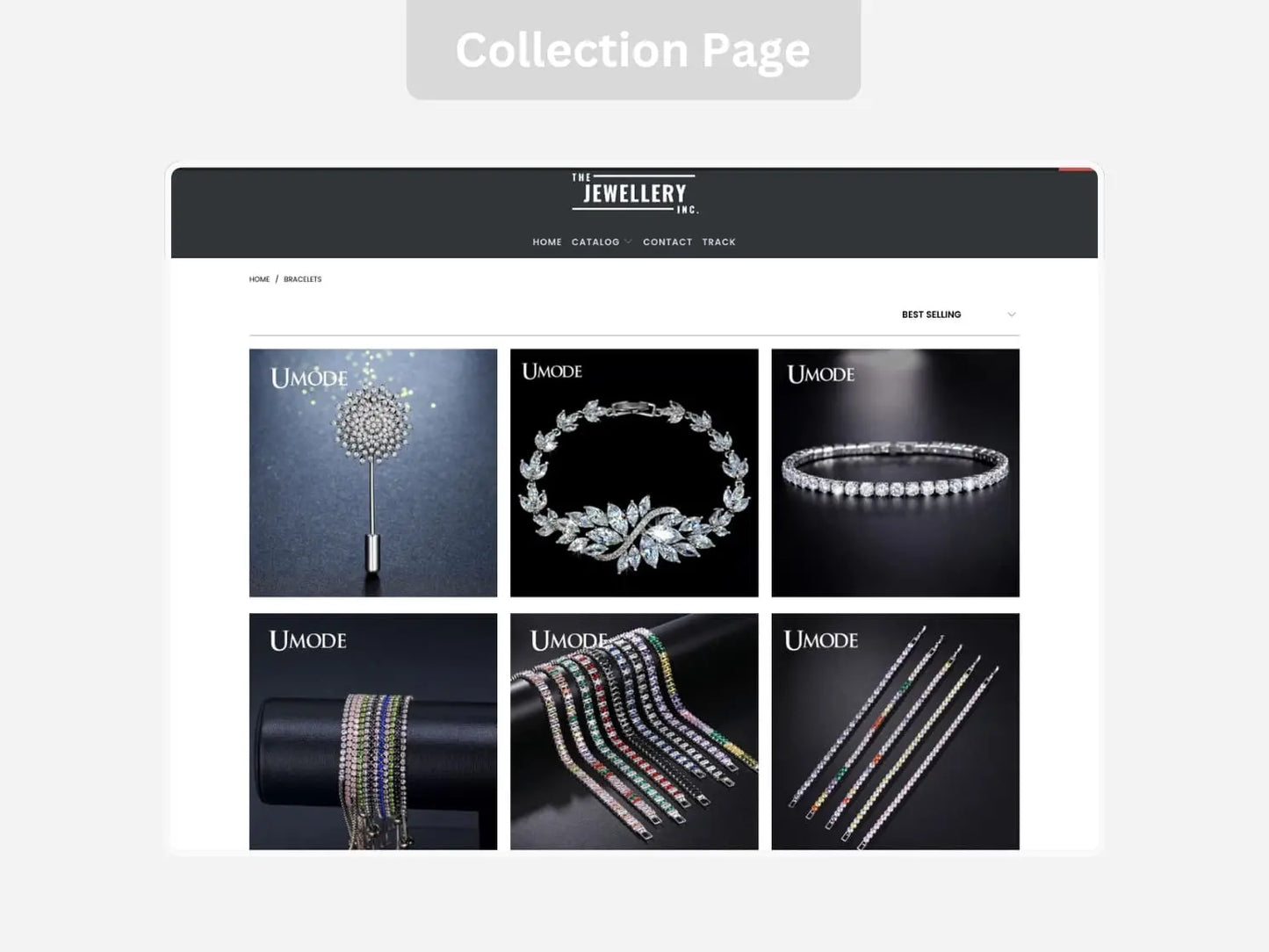 Jewelry Shopify Exclusive Dropship Store & Ecommerce Website The Stores Project
