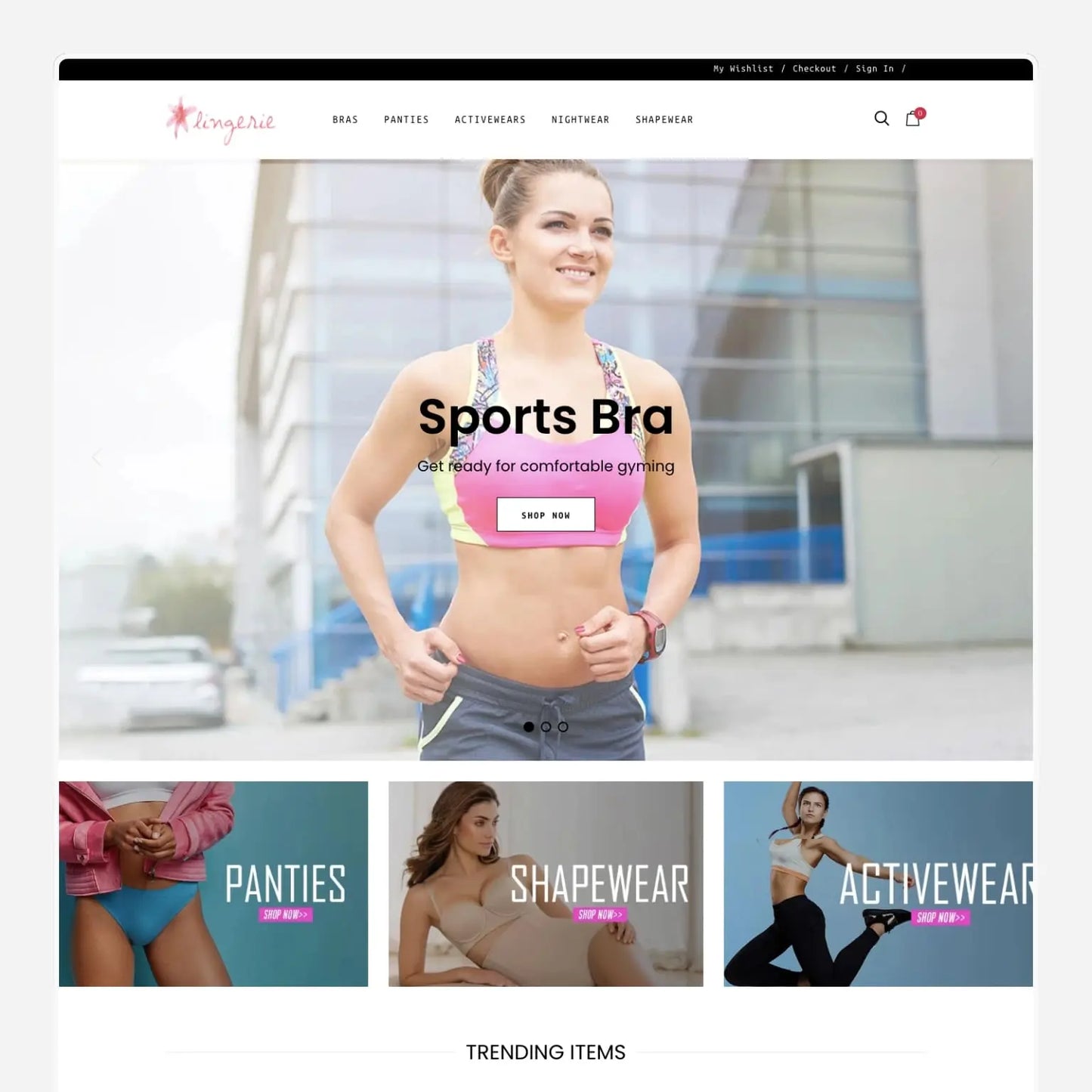 Lingerie Fashion Shopify Starter Dropship Store & Ecommerce Website The Stores Project