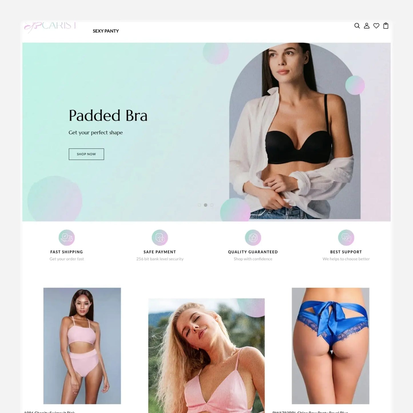 Lingerie Shopify Premium Dropship Store & Ecommerce Website The Stores Project