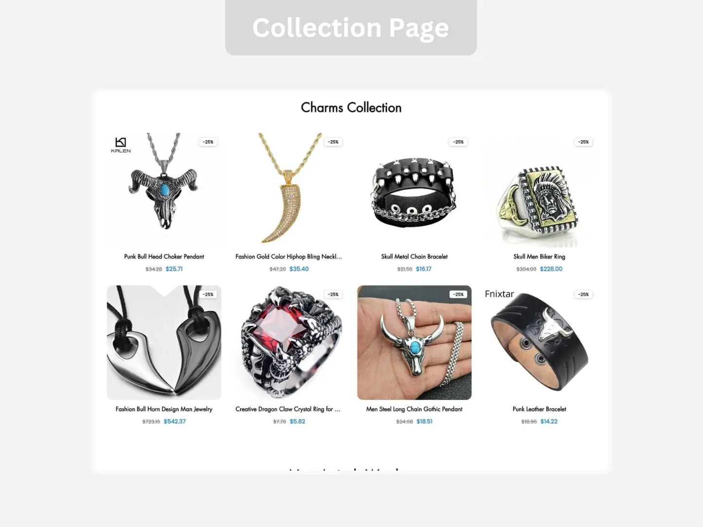 Bikers Galore Shopify Starter Dropship Store & Ecommerce Website The Stores Project