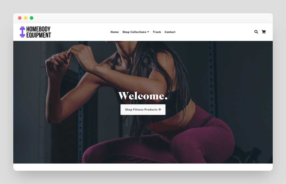 Fitness Shopify Exclusive Dropship Store & Ecommerce Website