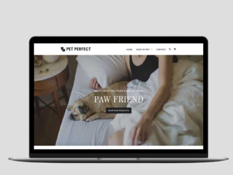 Pets Shopify Exclusive Dropship Store & Ecommerce Website