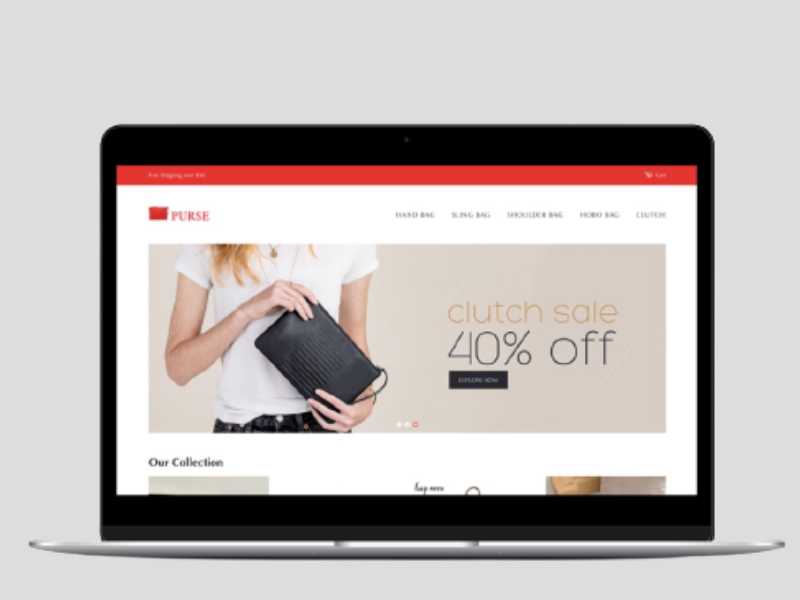 Purses Shopify Starter Dropship Store & Ecommerce Website